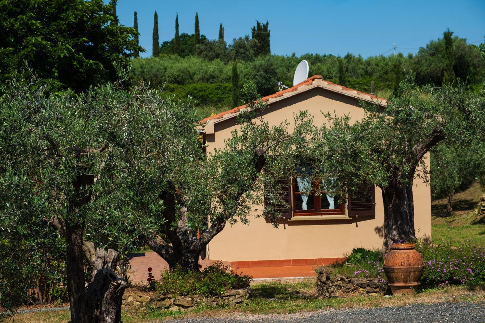 Agriturismo I Cerroni Montescudaio Exterior photo